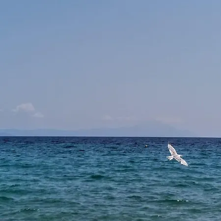 Dom wakacyjny Marianthi's Stone House *